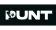 Punt.com Logo