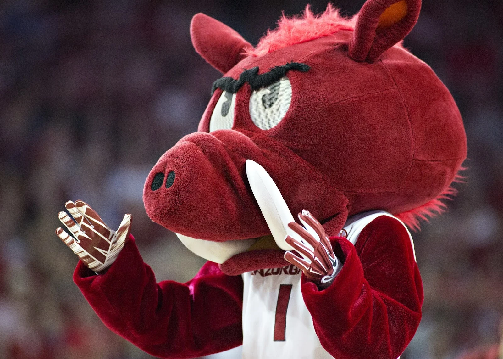 Tusk, the mascot of the Arkansas Razorbacks, performs during a timeout.