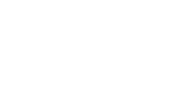 Pulsz Bingo
