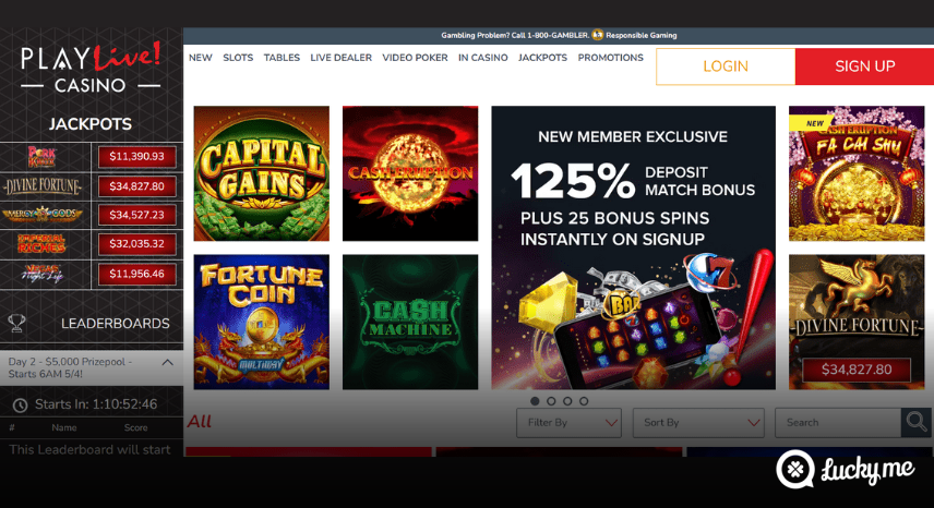 A screenshot of the desktop login page for PlayLive! Casino